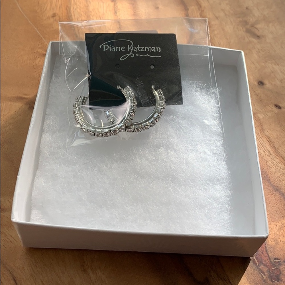 Diane Katzman Crystal Hoop Earrings